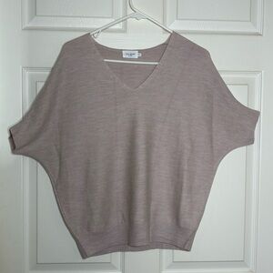 The Reset R Label Sweater Size S/M Oatmeal Wool Dolman V neck essential pullover